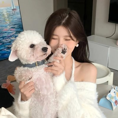 不爱不散